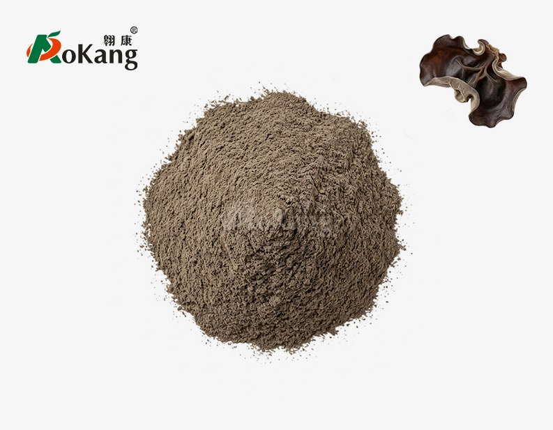 Black Fungus Extract
